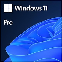 Microsoft Windows 11 Pro (Unbegrenzt)