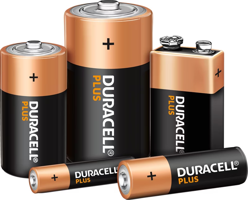 家族の友人のためのピクニックビンゴカード、大人のための夏のピクニックビンゴゲーム、サマーキャンプバーベキューパーティーデコレーション  キャンプビンゴゲーム：40枚の印刷可能なカード、家族向けアクティビティ（PDFパターン） - Etsy 日本 現代・河原乞食考 山城新伍の原点京都西陣 若山富三郎鶴田浩二 美空ひばり梅宮辰夫