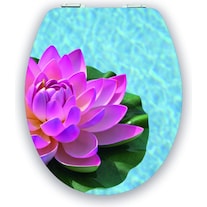 Diaqua Lotus
